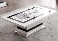 Sicis（Coffee table）：104090203